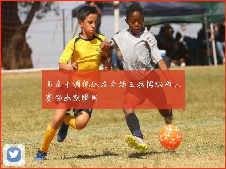 乌度卡调侃狄龙全场互动揭秘两人赛场幽默瞬间