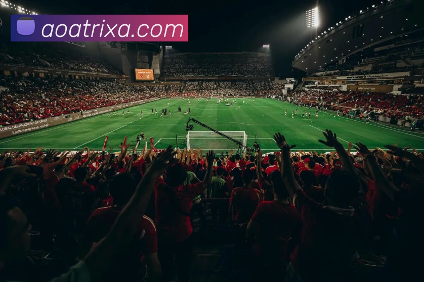 AOA体育平台生态图